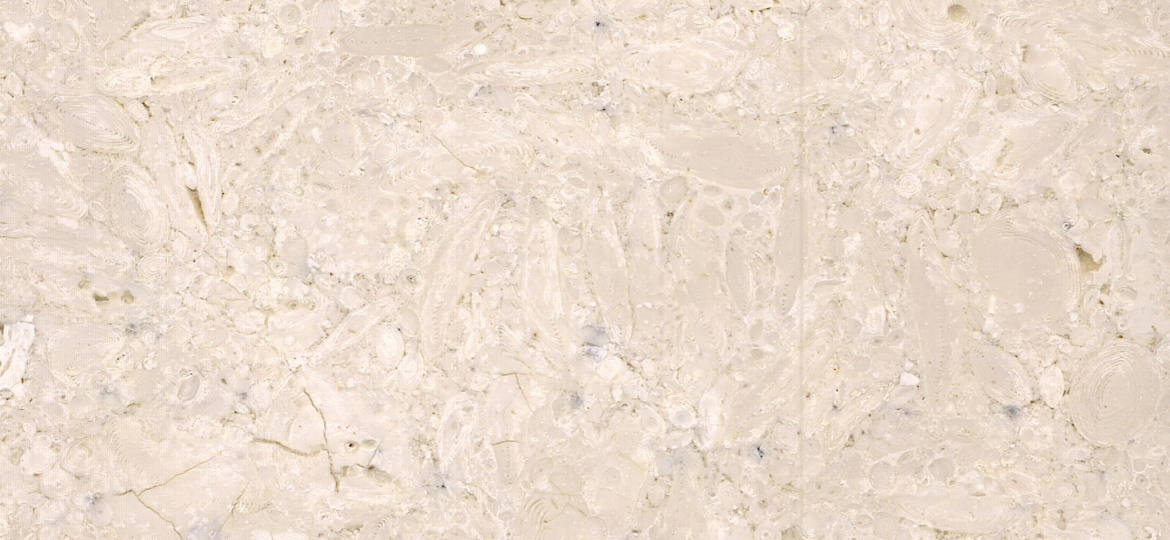 Samaha Marble