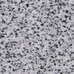 New Halayeb Granite